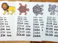 Kolorowe ilustracje zwierząt i powtarzające się słowa to czytanki dla pierwszoklasisty. Motyl, lew, żółw, żaba, słoń i tygrys pomagają w nauce.