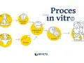 Proces in vitro: od komórki jajowej i plemnika do zapłodnienia, zarodka i szczęśliwej rodziny.