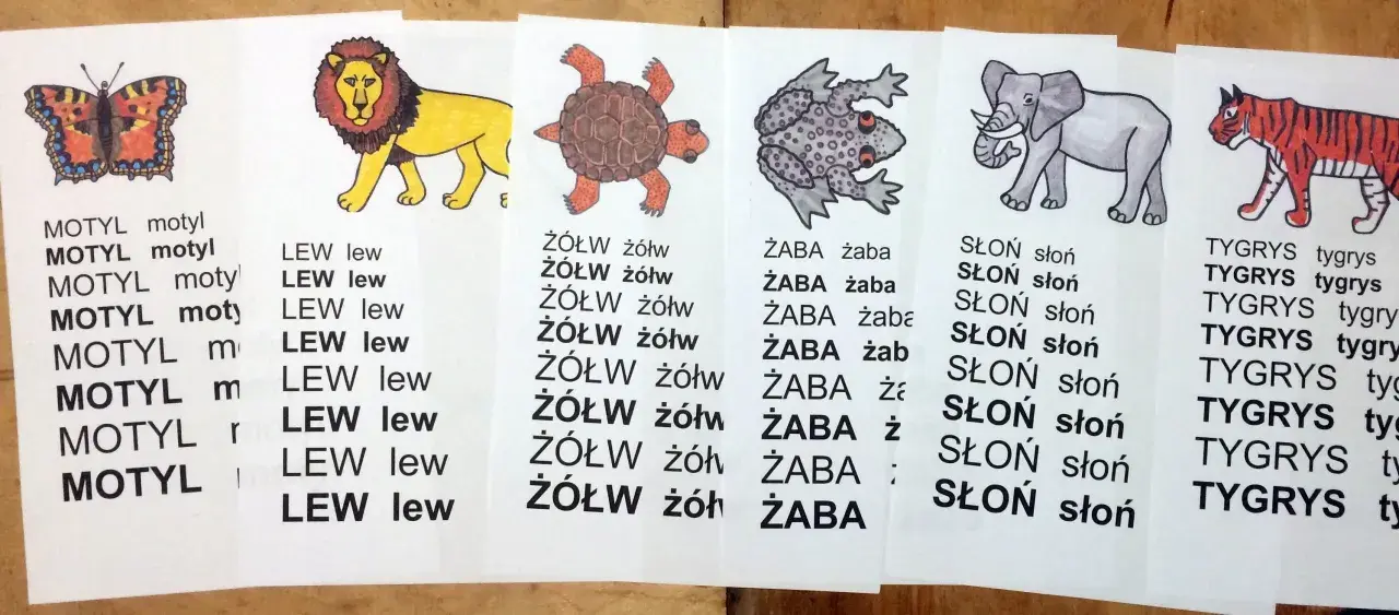 Kolorowe ilustracje zwierząt i powtarzające się słowa to czytanki dla pierwszoklasisty. Motyl, lew, żółw, żaba, słoń i tygrys pomagają w nauce.
