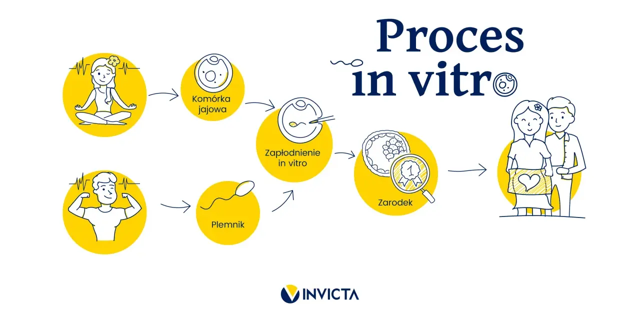 Proces in vitro: od komórki jajowej i plemnika do zapłodnienia, zarodka i szczęśliwej rodziny.