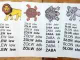 Kolorowe ilustracje zwierząt i powtarzające się słowa to czytanki dla pierwszoklasisty. Motyl, lew, żółw, żaba, słoń i tygrys pomagają w nauce.