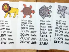 Kolorowe ilustracje zwierząt i powtarzające się słowa to czytanki dla pierwszoklasisty. Motyl, lew, żółw, żaba, słoń i tygrys pomagają w nauce.