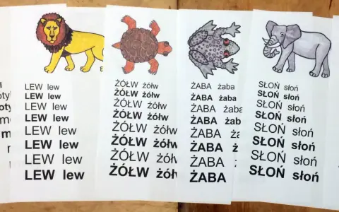 Kolorowe ilustracje zwierząt i powtarzające się słowa to czytanki dla pierwszoklasisty. Motyl, lew, żółw, żaba, słoń i tygrys pomagają w nauce.