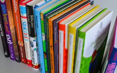 Kolorowe okładki książek dla 6-latka chłopca, w tym "Paddington się krząta" i "Detektyw Pingwin".