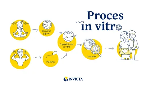 Proces in vitro: od komórki jajowej i plemnika do zapłodnienia, zarodka i szczęśliwej rodziny.