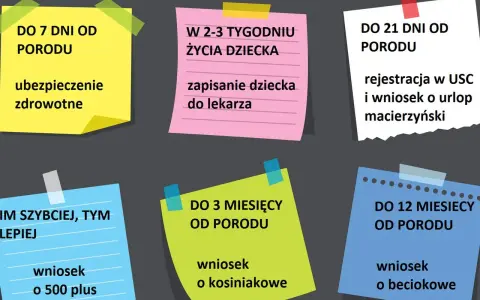 Karta urodzenia dziecka ze szpitala: terminy ubezpieczenia, wizyty u lekarza, rejestracji w USC, urlopu macierzyńskiego i wniosków o świadczenia.