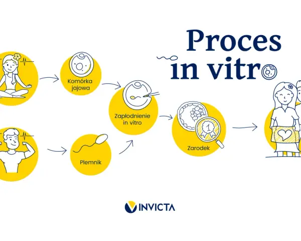 Proces in vitro: od komórki jajowej i plemnika do zapłodnienia, zarodka i szczęśliwej rodziny.