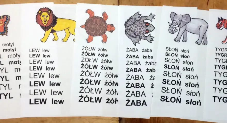 Kolorowe ilustracje zwierząt i powtarzające się słowa to czytanki dla pierwszoklasisty. Motyl, lew, żółw, żaba, słoń i tygrys pomagają w nauce.