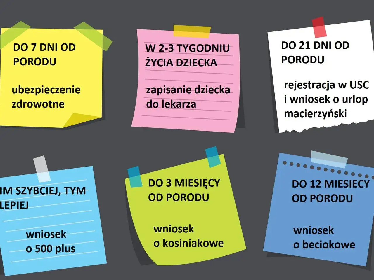 Zmiana meldunku dziecka: terminy ubezpieczenia, rejestracji, wniosków o 500+, becikowe i kosiniakowe.
