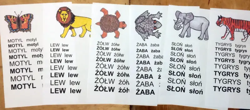 Kolorowe ilustracje zwierząt i powtarzające się słowa to czytanki dla pierwszoklasisty. Motyl, lew, żółw, żaba, słoń i tygrys pomagają w nauce.